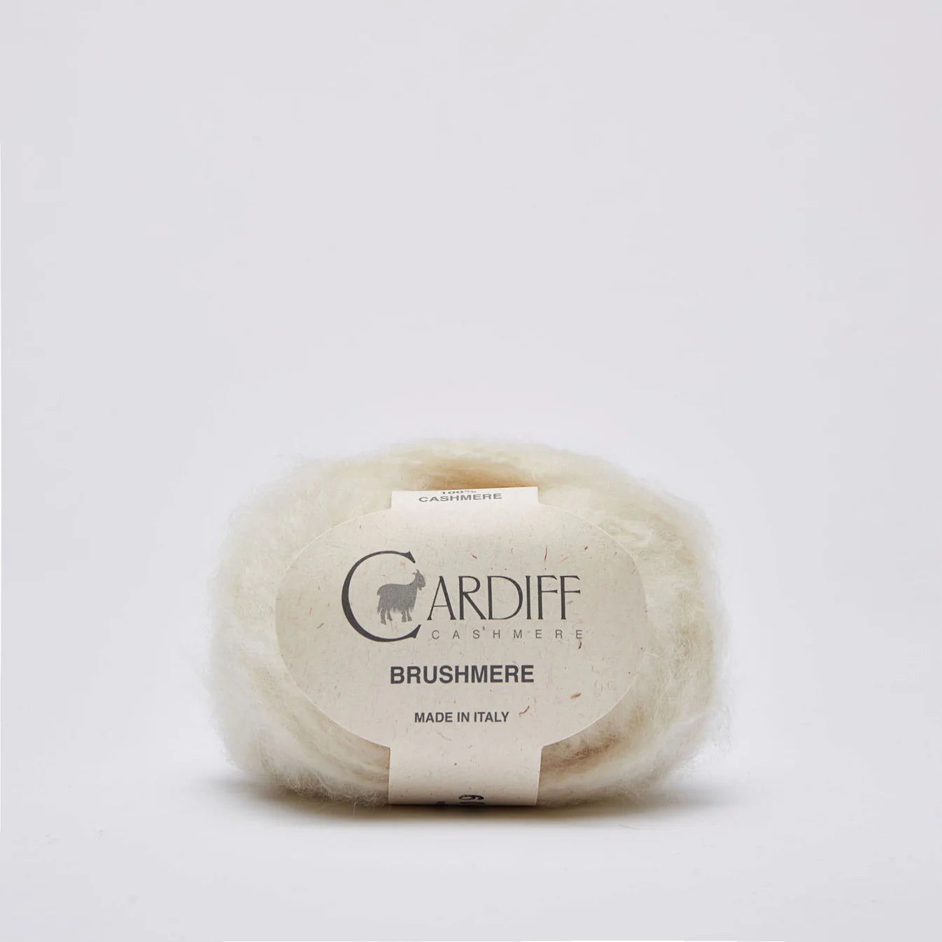 Cardiff Brushmere