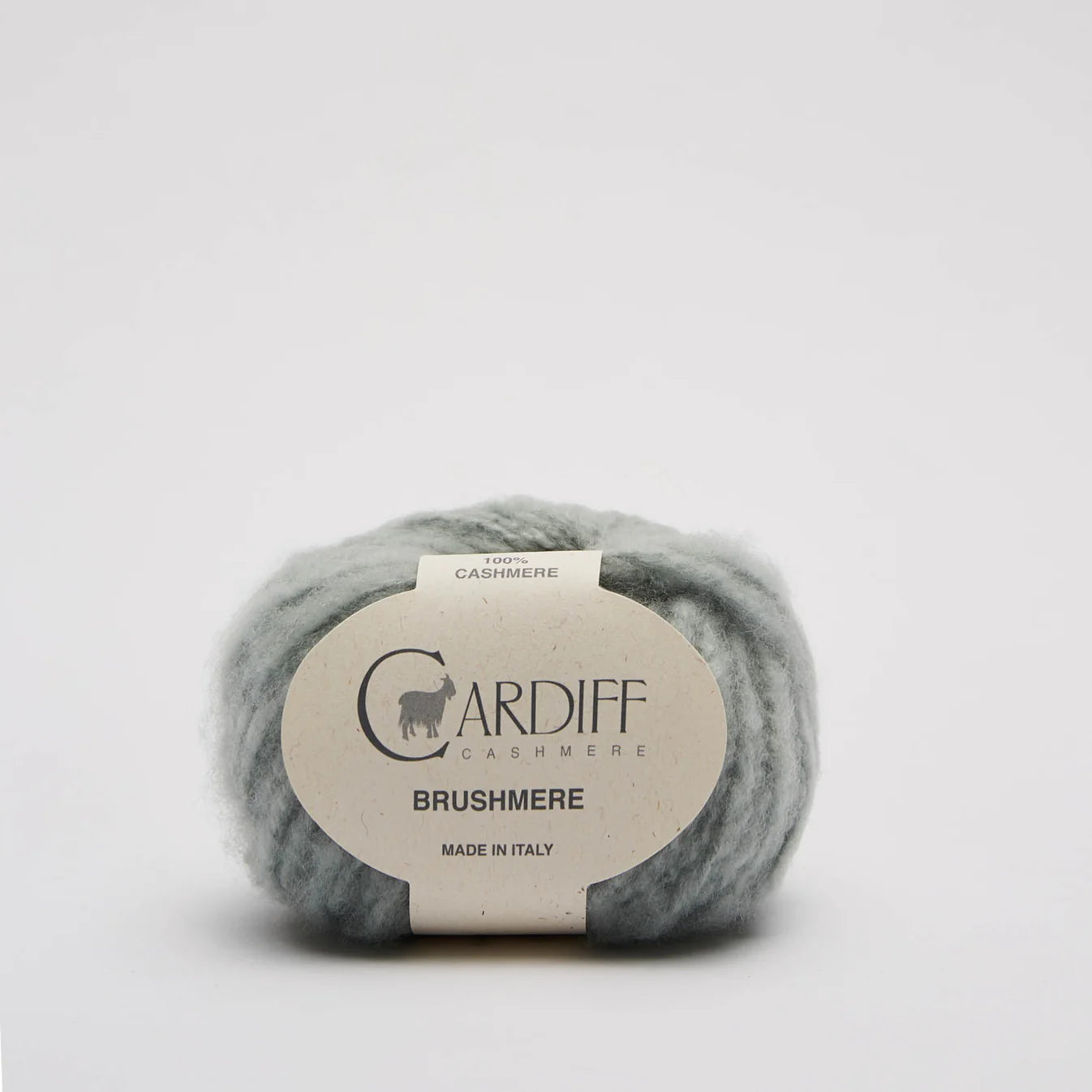 Cardiff Brushmere