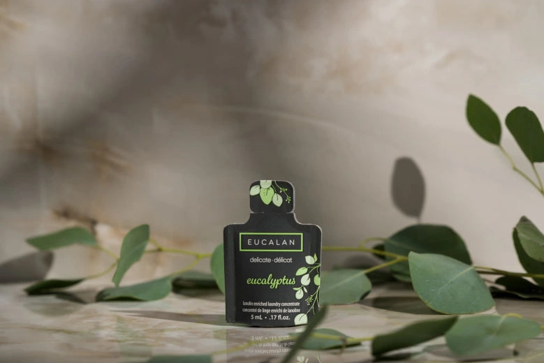 Eucalan staal 5 ml