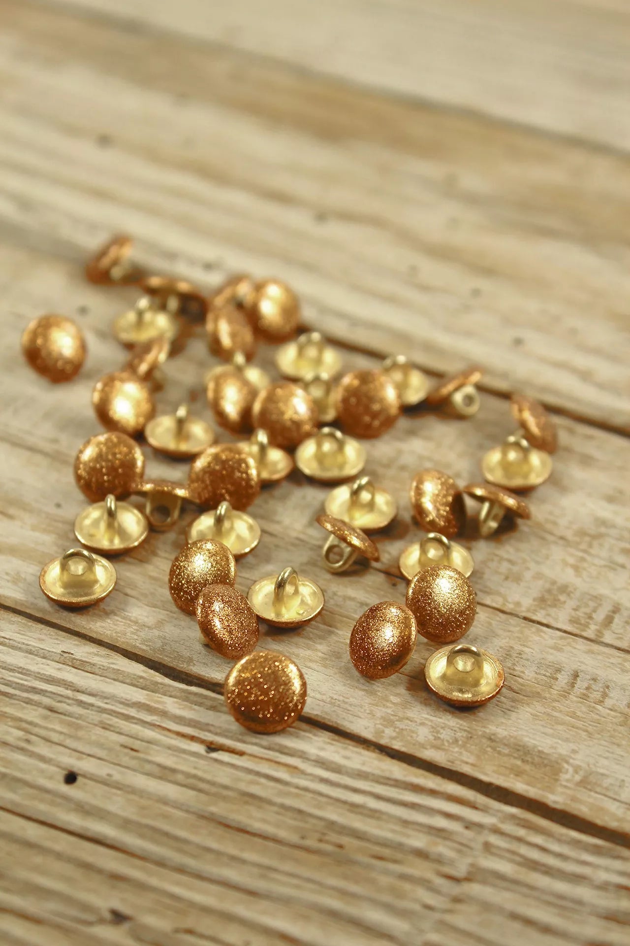 Eglantine & Zoe - Bouton Shiny
